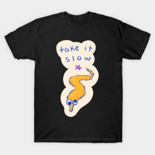 Take It Slow T-Shirt